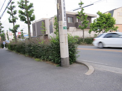 交通安全を願い地元の危険個所を点検しました