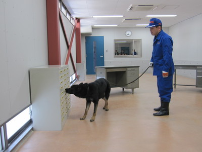 愛知県議会警察委員会で警察犬訓練施設を視察しました