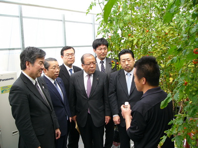 トマト栽培行う農園を視察